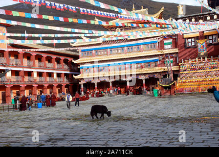 Monastère de Lhagang à Tagong Chine Banque D'Images