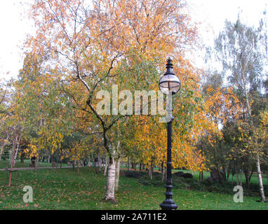 Londres, Royaume-Uni. 28 Oct, 2019. Lampe ancienne à proximité d'arbres standard dans Hyde Park qui donnent des couleurs d'automne de la capitale le plus célèbre de l'espace ouvert. Credit : Keith Mayhew SOPA/Images/ZUMA/Alamy Fil Live News Banque D'Images