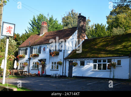 Le Red Lion Pub à Whiteleaf, Princes Risborough, España. Chilterns. Banque D'Images