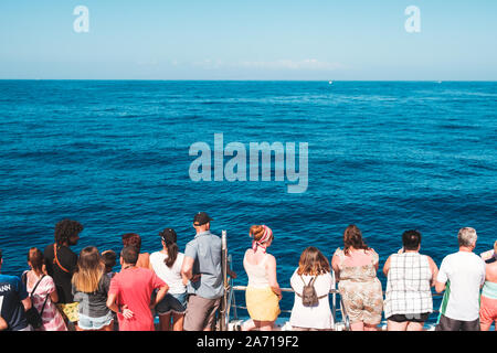 Tenerife, Espagne - Août, 2019 : Groupe de personnes sur le bateau de derrière à la recherche sur l'océan sur une tour d'observation des baleines Banque D'Images