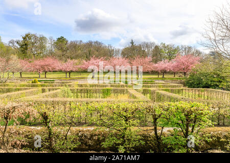 France, Loir et Cher, vallée de la Loire classée au Patrimoine Mondial de l'UNESCO, Cellettes, Chateau de Beauregard, parc et jardins, le Jardin des Portraits dans Banque D'Images