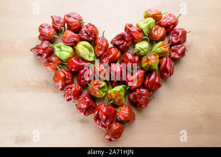 Red Hot Chili Pepper Scotch Bonnet Caraïbes Antillais colorés sur fond de bois en forme de coeur en conçu Banque D'Images