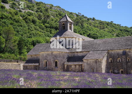 Abbaye de Sénanque avec champs de fleurs de lavande en face en Provence, Sud France pendant l'été avec ciel bleu Banque D'Images