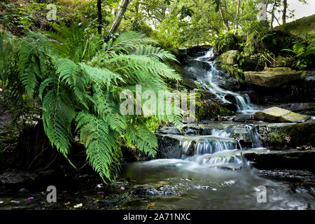 Dolly folie Cascade dans le Yorkshire Banque D'Images