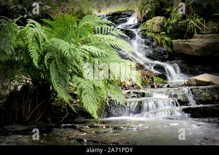 Dolly folie Cascade dans le Yorkshire Banque D'Images