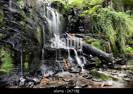 Dolly folie Cascade dans le Yorkshire Banque D'Images