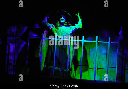 Buena Park, California, USA 27 octobre 2019 Une vue générale de l'atmosphère de sorcière dans la pendaison Show le 27 octobre 2019 à Knott's Scary Farm à Buena Park, Californie, USA. Photo de Barry King/Alamy Stock Photo Banque D'Images