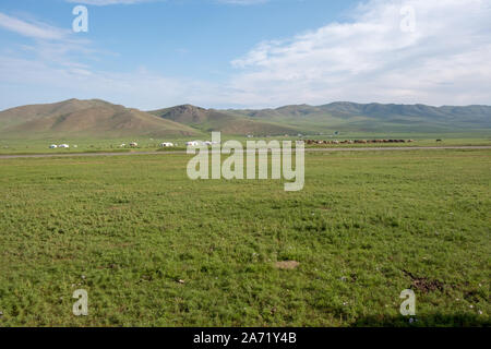 Mongolian-Manchurian incroyable Grassland Banque D'Images