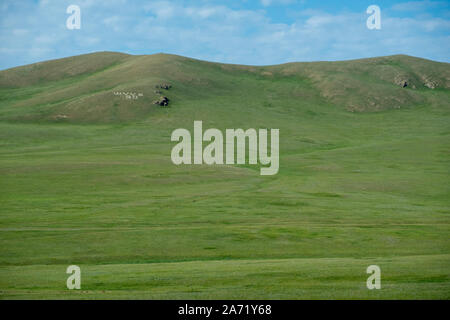 Mongolian-Manchurian incroyable Grassland Banque D'Images