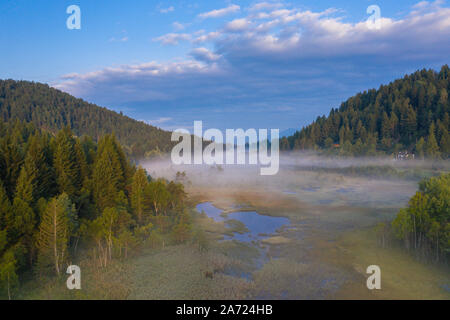 Mist couvrant partiellement Woods dans le marais de la Réserve Naturelle de Pian di Gembro, vue aérienne, Aprica, Valtellina, Lombardie, Italie Banque D'Images