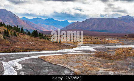 Vue panoramique sur la rivière sauvage dans le Parc National Denali Banque D'Images