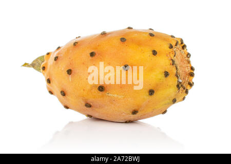 Un ensemble d'Opuntia orange isolé sur fond blanc Banque D'Images