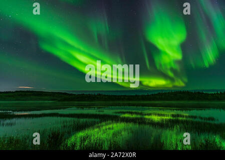 Les aurores boréales au-dessus de l'extrémité du lac prospère sur la route Ingraham Trail, près de Yellowknife, T.N.-O., un endroit populaire pour l'observation d'aurora dans la région. Ce Banque D'Images