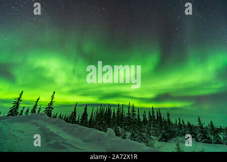 Vue en direction nord sur le banc de neige et d'arbres au nord vers le Northern Lights, au Churchill Northern Studies Centre, 8 févr. 2019, duri Banque D'Images