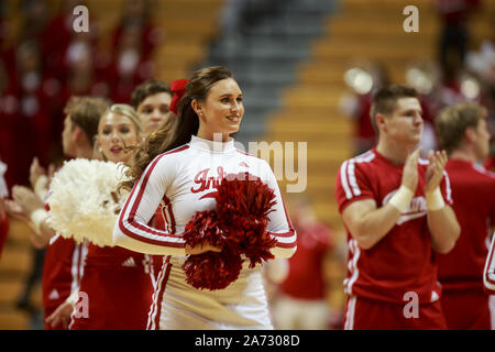 Indiana University's cheerleaders cheer contre Gannon lors d'une exposition de la NCAA de basket-ball, le Mardi, Octobre 29, 2019, de l'Université Simon Skjodt Assembly Hall à Bloomington, Indiana Indiana battre Gannon 84 à 54. (Photo de Jeremy Hogan/l'Bloomingtonian) Banque D'Images