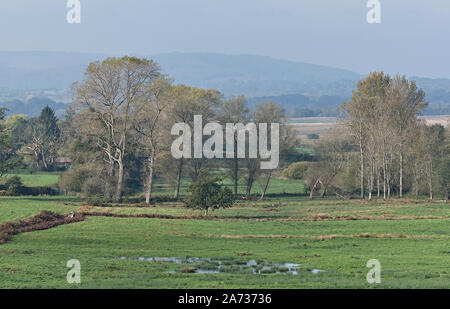Automne sur rural meadows de Parham Park pour les South Downs Banque D'Images
