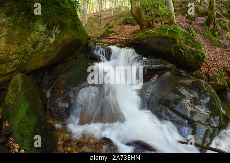 Cascade sur le ruisseau de montagne qui traverse la vieille forêt de hêtres au début de l'automne Banque D'Images