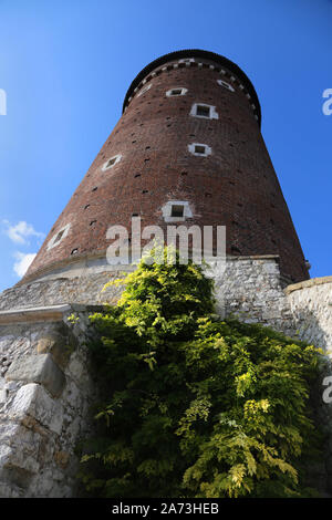 Cracovie. Cracovie. La Pologne. Château royal de Wawel, sur la colline de Wawel. Sandomierska Baszta Tower, une partie de la fortification du château. Banque D'Images