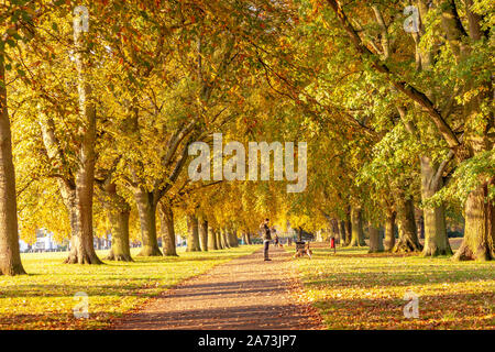 Northampton, Royaume-Uni. 29 octobre 2019 UK Weather, clair matin ensoleillé dans la région de Abington Park Les couleurs d'automne montrant jusqu'au petit matin la lumière. J Keith Smith./Alamy Live News Banque D'Images