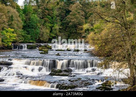 Aysgarth Falls supérieure, Wensleydale, North Yorkshire, Angleterre. Banque D'Images