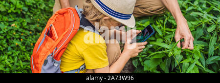 Père et fils identifier des plantes à l'aide de l'application sur un smartphone. Réalité augmentée BANNER, format long Banque D'Images