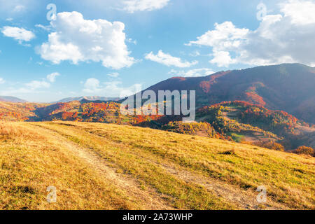 Magnifique paysage de montagne en automne. superbe après-midi ensoleillé météo avec fluffy clouds sur le ciel. les collines boisées en roulant à la lointaine moun Banque D'Images