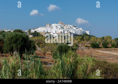 Vue éloignée sur les maisons blanchies à la chaux dans la vieille ville d'Ostuni en Apulie (Pouilles) dans le sud de l'Italie Banque D'Images