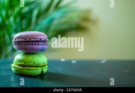 Deux macarons de cookies sur un fond sombre avec un palmier à l'arrière. Copier l'espace. Banque D'Images