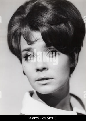 Corny Collins, Deutsche Theater- und Deutschland, Filmschauspielerin 1960. Théâtre Allemand et actrice de cinéma Corny Collins, Allemagne 1960. Banque D'Images