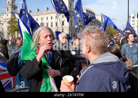 Westminster, England, UK. 30 octobre 2019. Les manifestants restent en face de la Chambre des communes de célébrer un nouveau retard dans la mise en œuvre Brexit, soulignant que le délai de l'Halloween rendez-vous par avec le Royaume-Uni encore dans l'Union européenne, contrairement aux promesses faites par le Premier Ministre. Manifestant avec drapeau gallois ayant débat avec laisser supporter Crédit : JF Pelletier/Alamy Live News. Banque D'Images