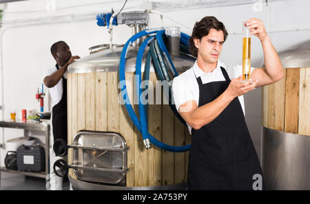 Tablier de brasseur mâle contrôle attentivement la qualité de la bière en ballon dans l'usine de brasserie Banque D'Images