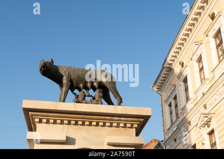 Cluj Napoca, Roumanie - 24 Oct, 2019 : La Louve du capitole Statuia Lupoaicei (statue) de Cluj-Napoca est situé sur le Boulevard Eroilor dans le centre-ville Banque D'Images