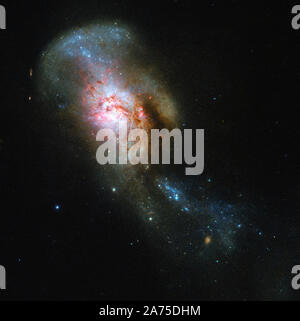 La galaxie apparaissant dans ce télescope Photo de la semaine a un nom évocateur : la méduse fusion. Souvent appelé par son peu plus sèche New General Catalogue Désignation de NGC 4194, ce n'était pas toujours d'une seule entité, mais deux. Une galaxie consommé un plus petit système riche en gaz, les ruisseaux d'étoiles et de poussières dans l'espace. Ces cours d'eau, vu l'augmentation de la partie supérieure de la fusion galaxy, ressemble à l'writhing serpents qui Méduse, un monstre de la mythologie grecque, a eu sur sa tête à la place des cheveux, l'objet de prêt son nom intrigant. Tous les gaz frais ici mise en commun Banque D'Images