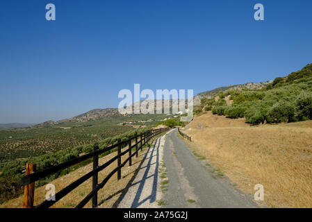 La Via Verde, une ancienne ligne de chemin de fer de l'huile d'olive, maintenant un chemin à pied et à vélo à proximité de la Sierra Subbética de Iznájar, Andalousie, espagne. Banque D'Images