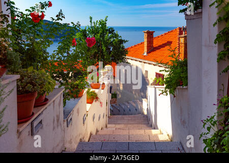 La rue médiévale avec des escaliers et des pots de fleurs dans la célèbre ville de Dubrovnik européenne sur une journée ensoleillée. Banque D'Images