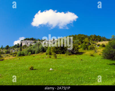 Un beau paysage de montagne pendant l'été, paysage situé près d'un village isolé au milieu des Carpates du sud. Banque D'Images