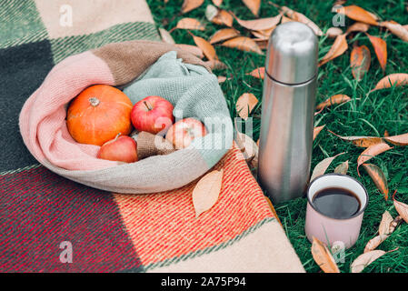 Pique-nique dans le parc de l'automne avec du thé, des pommes et des citrouilles sur couverture chaude en jaune les feuilles d'automne. Banque D'Images