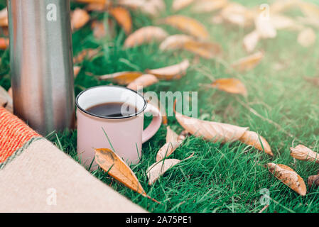 Pique-nique dans le parc de l'automne avec du thé, des pommes et des citrouilles sur couverture chaude en jaune les feuilles d'automne. Banque D'Images