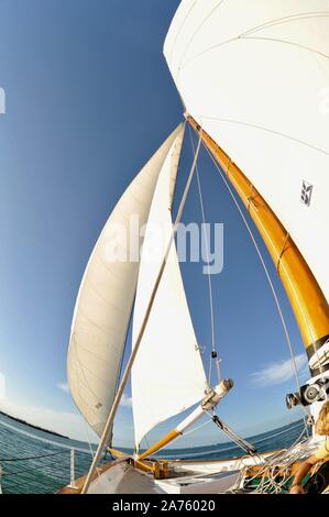 White sails soulevées, remplissage avec du vent, le schooner America 2.0 qui sillonnent les eaux turquoise au coucher de naviguer au large de Key West, Florida Keys, Floride, USA Banque D'Images