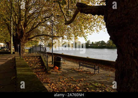 Londres, Royaume-Uni. 30Th Oct, 2019. Tamise à marée haute du Strand sur le Livre vert, Chiswick, Londres. Marées exceptionnellement élevé d'empiéter sur le chemin de halage du Strand sur le Livre vert à Chiswick. Crédit : Peter Hogan/Alamy Live News Banque D'Images