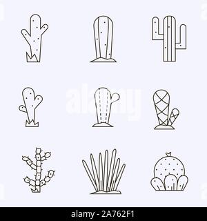 Icon Set Cactus.Vector collection de plantes exotiques. Illustration de Vecteur