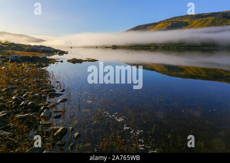 Un matin brumeux d'un voile de brouillard et de faible altitude, sur les rives du Loch Teacuis, Morvern, Highlands, Scotland Banque D'Images