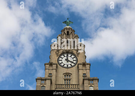 Royal Liver Building détail, Liverpool, Merseyside, Royaume-Uni Banque D'Images