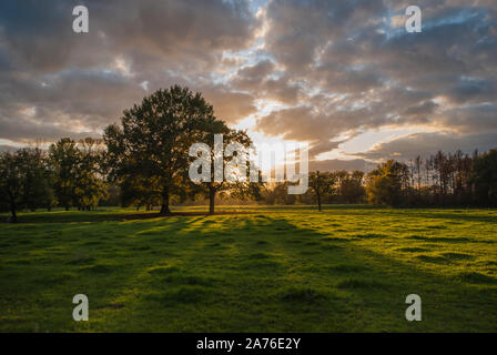 Coucher de soleil derrière une forêt de plaine en octobre. Ciel dramatique et un paysage coloré. Banque D'Images