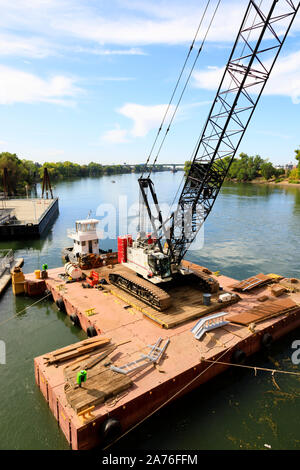 Grue sur le ponton dans la rivière, travaillant sur le Tower Bridge, Sacramento, capitale de l'État de Californie, États-Unis d'Amérique. Banque D'Images