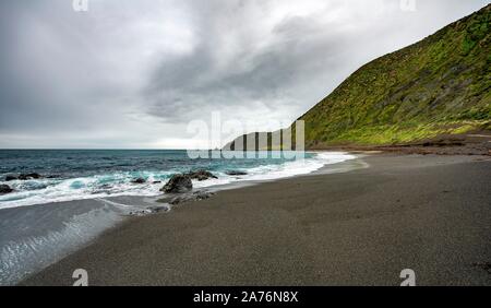 Côte avec plage de sable noir, Red Rocks Passerelle, Owhiro Bay, Wellington, Île du Nord, Nouvelle-Zélande Banque D'Images