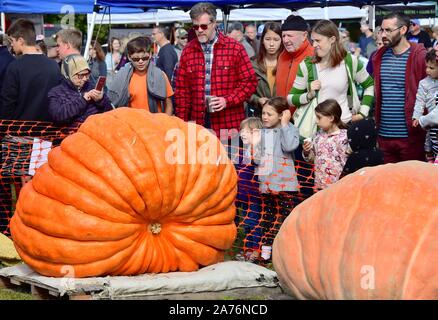 Saratoga Citrouille géante Festival, Festival des citrouilles géantes à Saratoga Springs, New York State, USA Banque D'Images