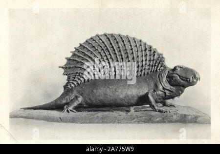 Edaphosaurus (Naosaurus) de strates du Permien du Texas. Modèle restauré par C. R. Knight. Photographie de H. N. Hutchinson's 'disparue monstres et créatures d'autres jours, Chapman and Hall, Londres, 1894. Banque D'Images