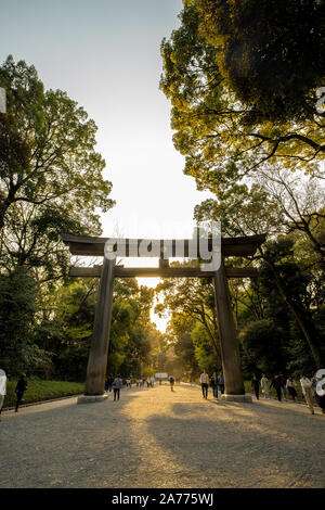 Torii à Yoyogi Park Banque D'Images