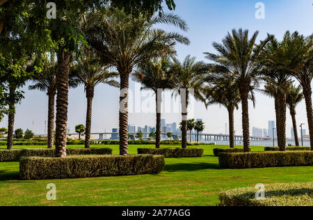 Vue sur le jardin de palmiers date près du musée du Louvre Abu Dhabi Abu Dhabi et la ville en arrière-plan Banque D'Images